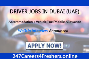 Driver Jobs In Dubai