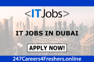 IT Jobs in Dubai