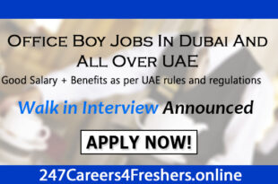 Office Boy Jobs In Dubai