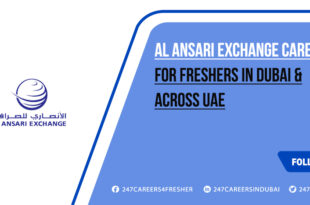 Al Ansari Exchange Careers