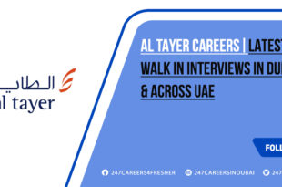 Al Tayer Careers