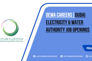 Dewa Careers