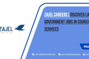 Zajel Careers