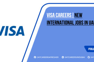 Visa Careers